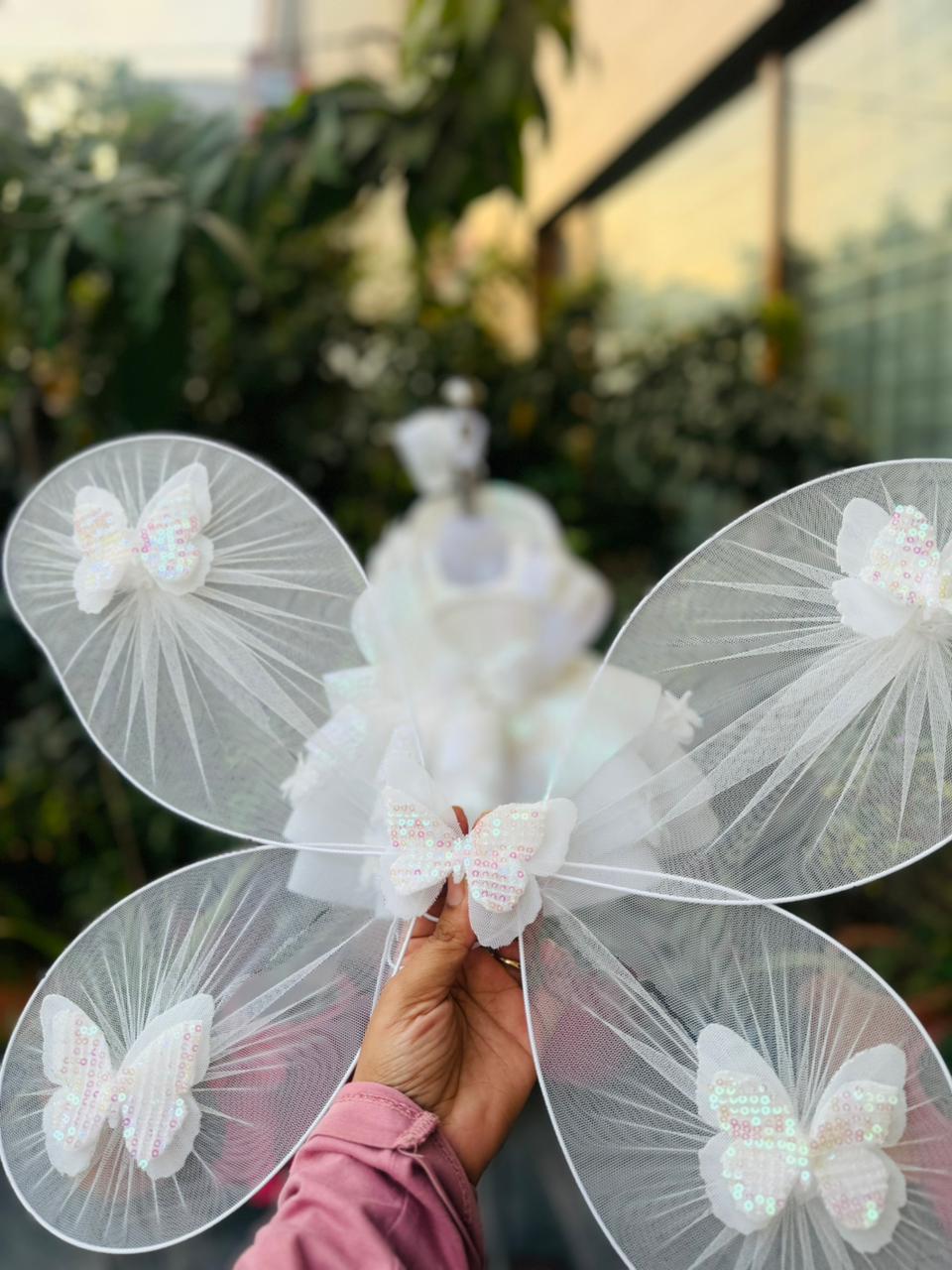 Detachable Butterfly Wings