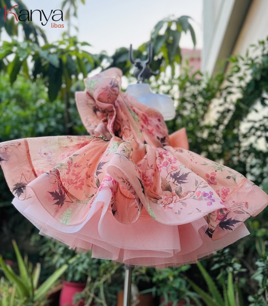 Organza collection Peach base multi shade outfit